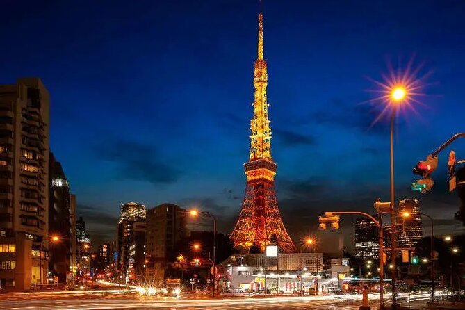 1 Day Private Tokyo Tour With English Speaking Driver - Tour Inclusions
