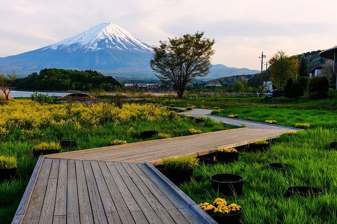 One Day Private Tour of Mt Fuji With English Speaking Driver - Pickup and Drop-off Locations