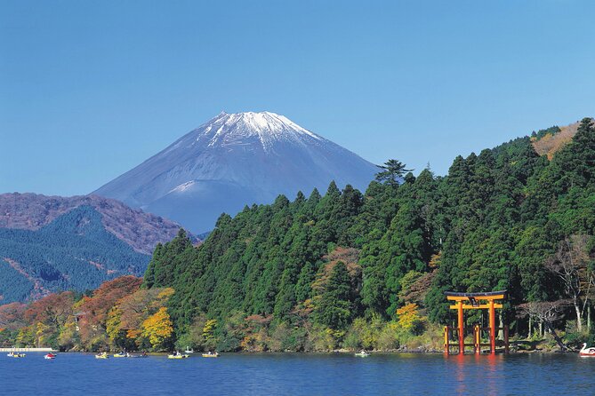 1 Day Private Tour in Mt.Fuji and Hakone English Speaking Driver - Safety Guidelines