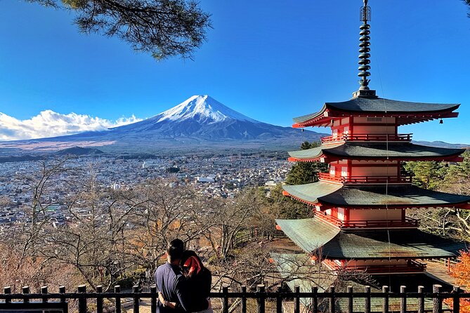 1 Day Private Tour in Mt.Fuji and Hakone English Speaking Driver - Optional Add-Ons