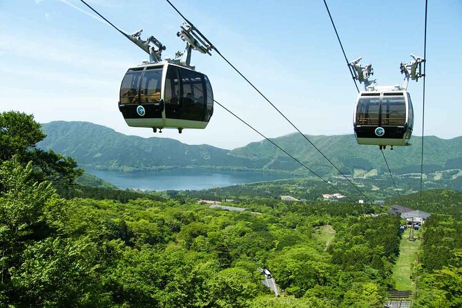 1 Day Private Tour in Mt.Fuji and Hakone English Speaking Driver - Contact and Support