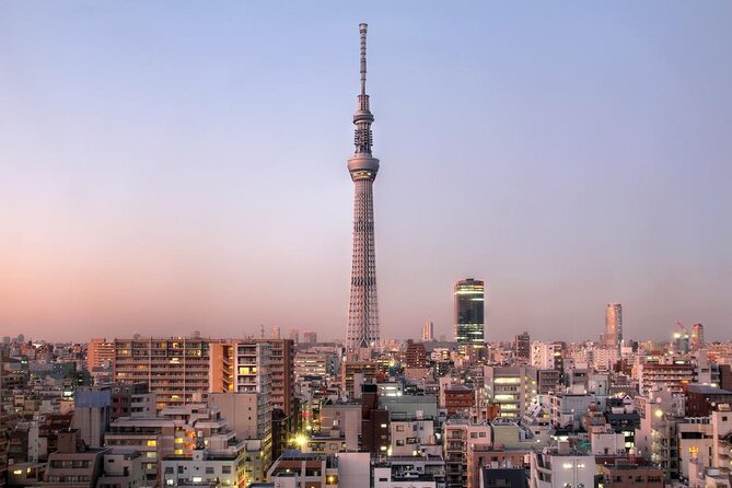 [22 Min]Tokyo City Lights Helicopter Tour : Skytreeasakusa - Just The Basics