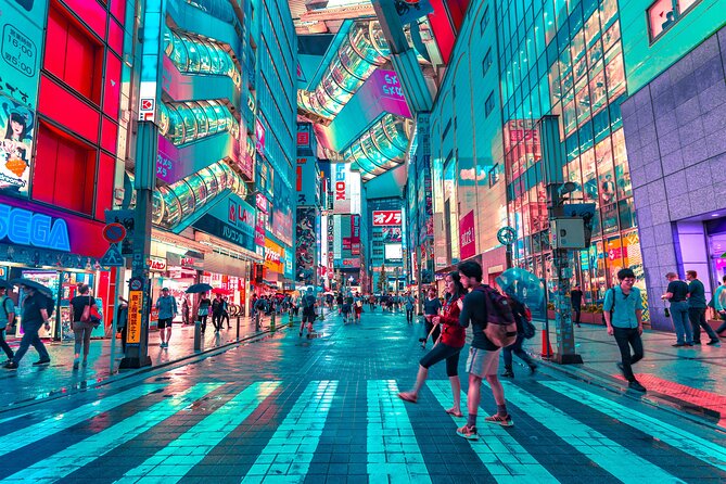 Tokyo Like a Local: Customized Private Tour - Customizable Itinerary Options