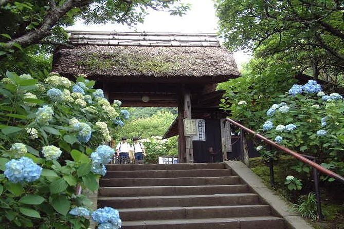 Kamakura 8 Hr Private Walking Tour With Licensed Guide From Tokyo - Traveler Reviews