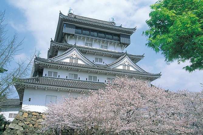 A Day Charter Bus Tour Around Cherry Blossoms in Northern Kyushu - Inclusions
