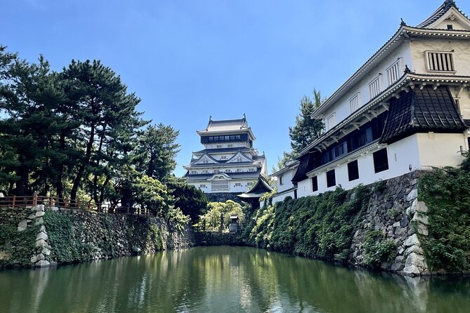Private Tour to Kokura Castle, Uomachi Street, and Yasaka Shrine - Tour Highlights and Features