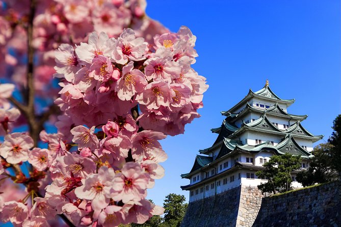 Nagoya Half Day Tour With a Local: 100% Personalized & Private - Cancellation Policy Details