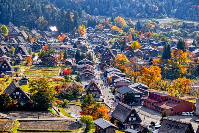 Nagoya: Hida Takayama & World Heritage Shirakawa-go Day Tour - Reviews