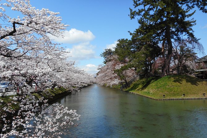 Private Cherry Blossom Tour in Hirosaki With a Local Guide - Support and Assistance