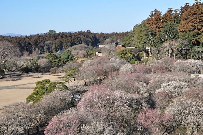 Samurai Private Tour With Umeshu Tasting in Mito - Booking Information