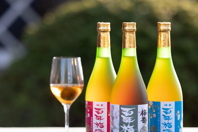 Explore Plum Wine Sake Museum and Japanese Alcohol Tasting - Just The Basics