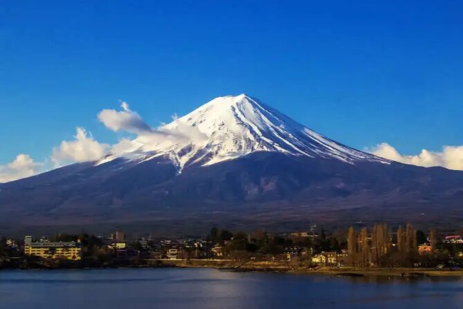 Private Car/Van Charter Full Day Tour MT Fuji And Hakone, (Guide) - Guide and Transportation