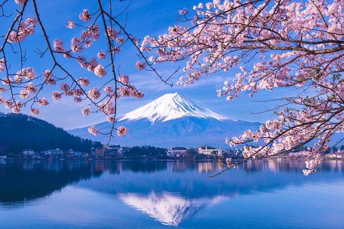 Private Car/Van Charter Full Day Tour MT Fuji And Hakone, (Guide) - Booking Information