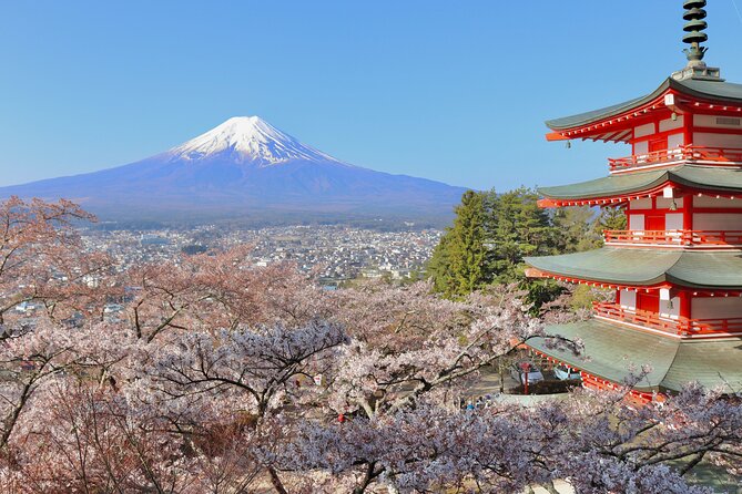 Full Day Tour to Mount Fuji - Frequently Asked Questions