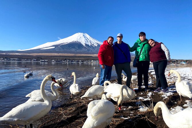 Full Day Tour to Mount Fuji - Cancellation Policy