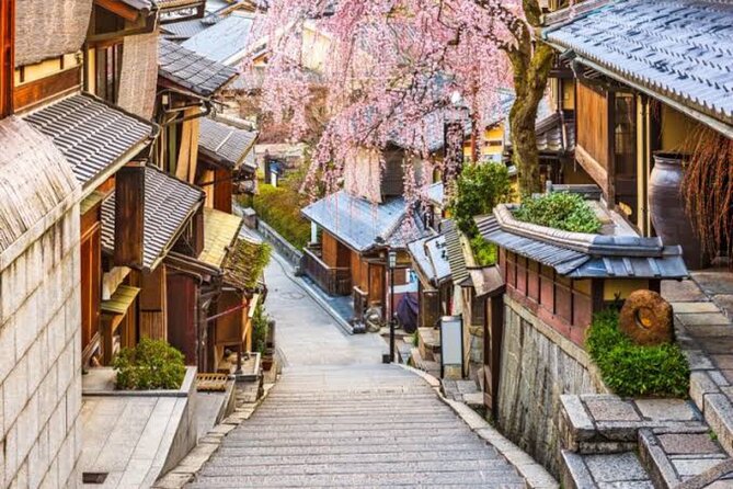 Private Kyoto Tour With Hotel Pickup and Drop off From Osaka - Pickup and Drop-Off Locations