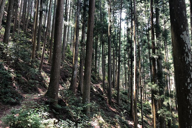 Historic and Natural Guided Hike in Yoshino - Cultural Insights