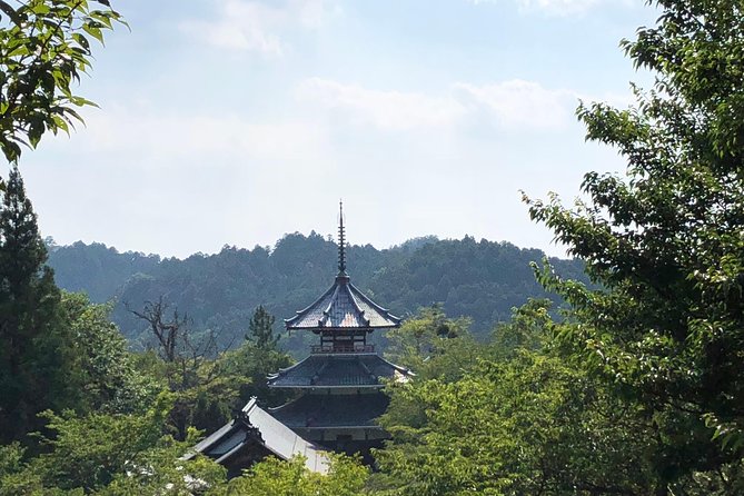 Historic and Natural Guided Hike in Yoshino - Final Words