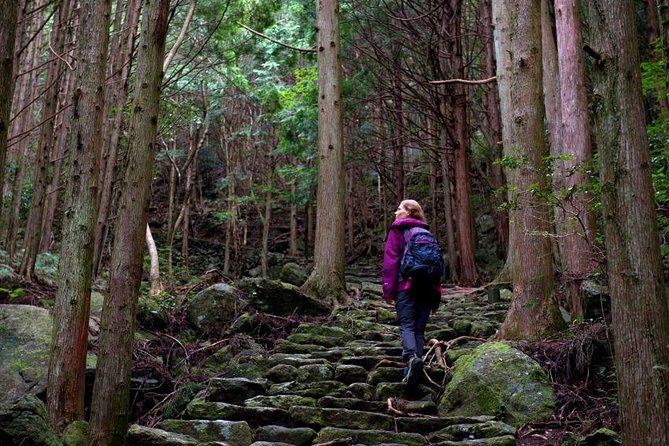 Kumano Kodo Pilgrimage Full-Day Private Trip With Government Licensed Guide - Just The Basics