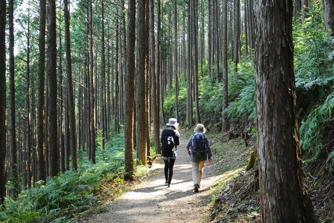 Kumano Kodo Pilgrimage Full-Day Private Trip With Government Licensed Guide - Cancellation Policy