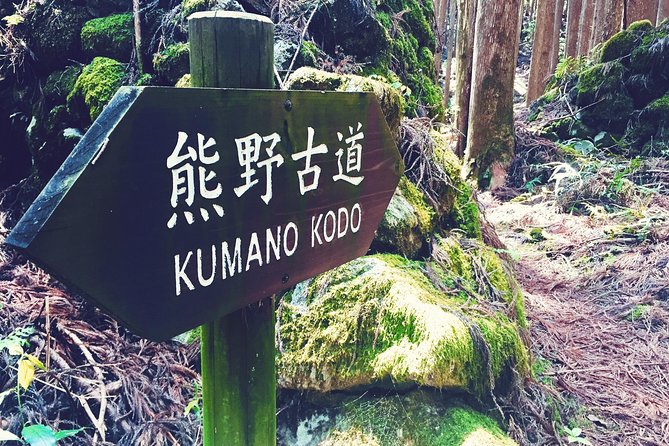 Kumano Kodo Pilgrimage Full-Day Private Trip With Government Licensed Guide - Final Words