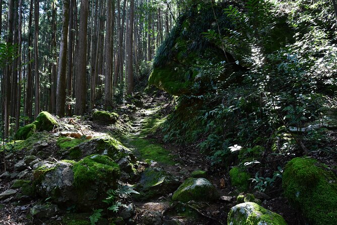 Private Spiritual Hike in Hidakamura With Mountain Monk - Hiking Route Highlights