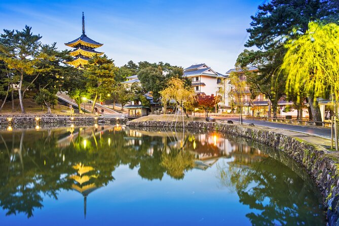 Private Journey in Nara's Historical Wonder - Exclusive Access to Cultural Treasures