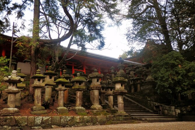 Private Journey in Nara's Historical Wonder - Expert Local Guide Insights