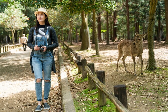 Private Journey in Nara's Historical Wonder - Immersive Cultural Experiences Offered