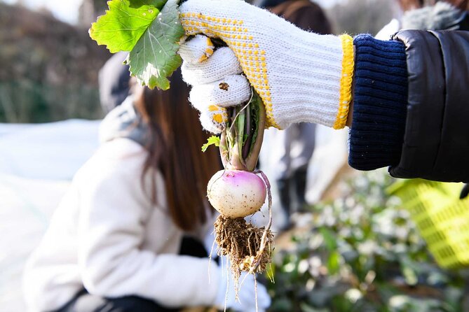Farming Experience in a Beautiful Rural Village in Nara - Local Cuisine