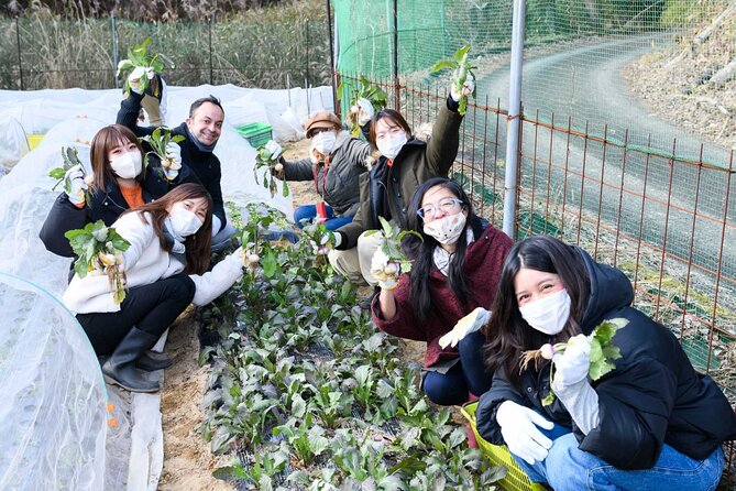 Farming Experience in a Beautiful Rural Village in Nara - Community Engagement