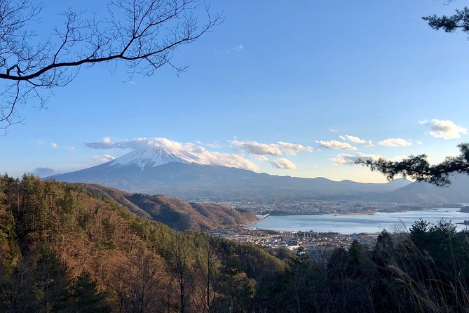 Mt Fuji Area Private Guided Tours in English-Nature up Close, Quiet, Personal - Tour Highlights