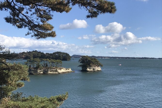 Private Guided Tour in Matsushima - Pricing Details