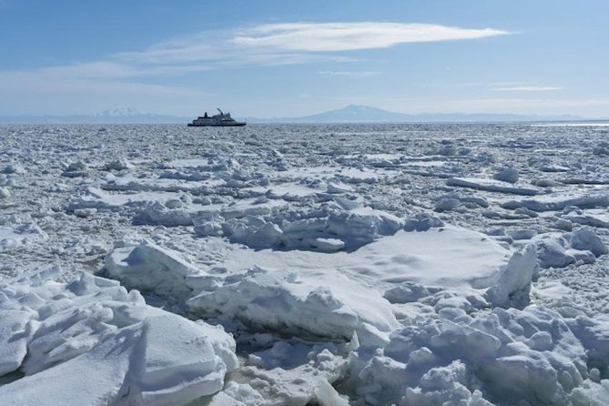 Hokkaidos Winter Awe-inspiring Drift Ice & Sounkyo Ice Sculpture! - Weather and Delay Considerations