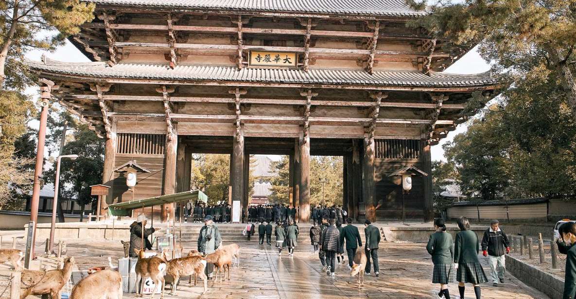 Nara Like a Local: Customized Guided Tour - Activity Description