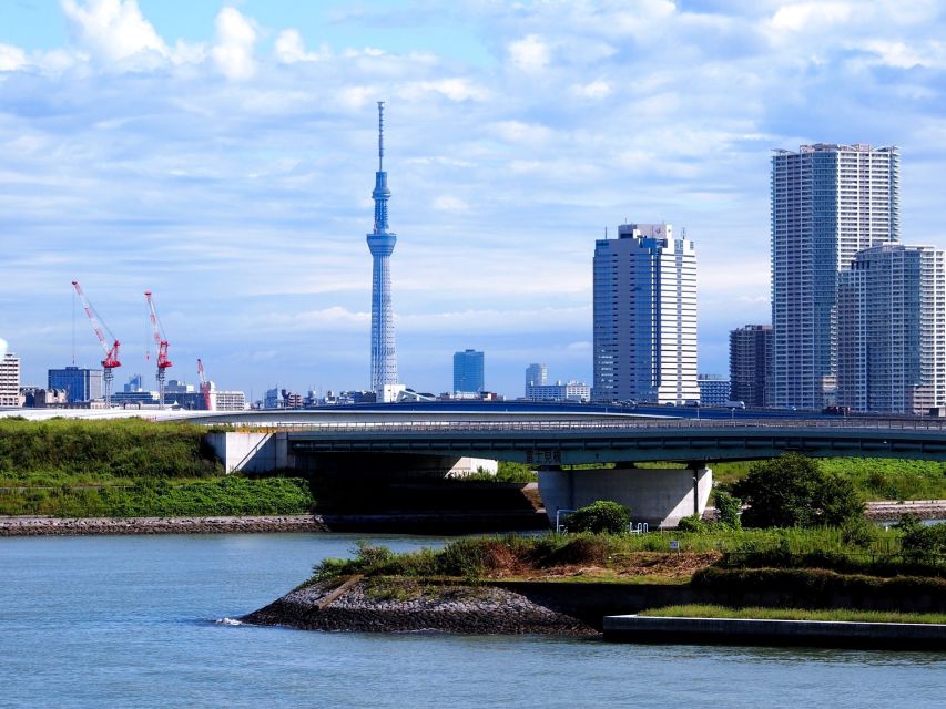 Tokyo: 1-Day Private Customizable Tour by Car - Customer Testimonials and Feedback