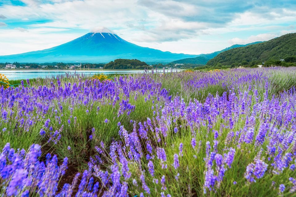 From Tokyo: Mt. Fuji Full-Day Sightseeing Trip - Itinerary Highlights