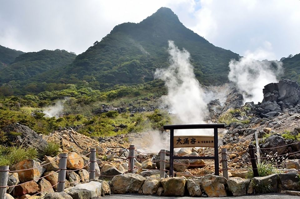 Tokyo: Hakone Fuji Day Tour W/ Cruise, Cable Car, Volcano - Just The Basics