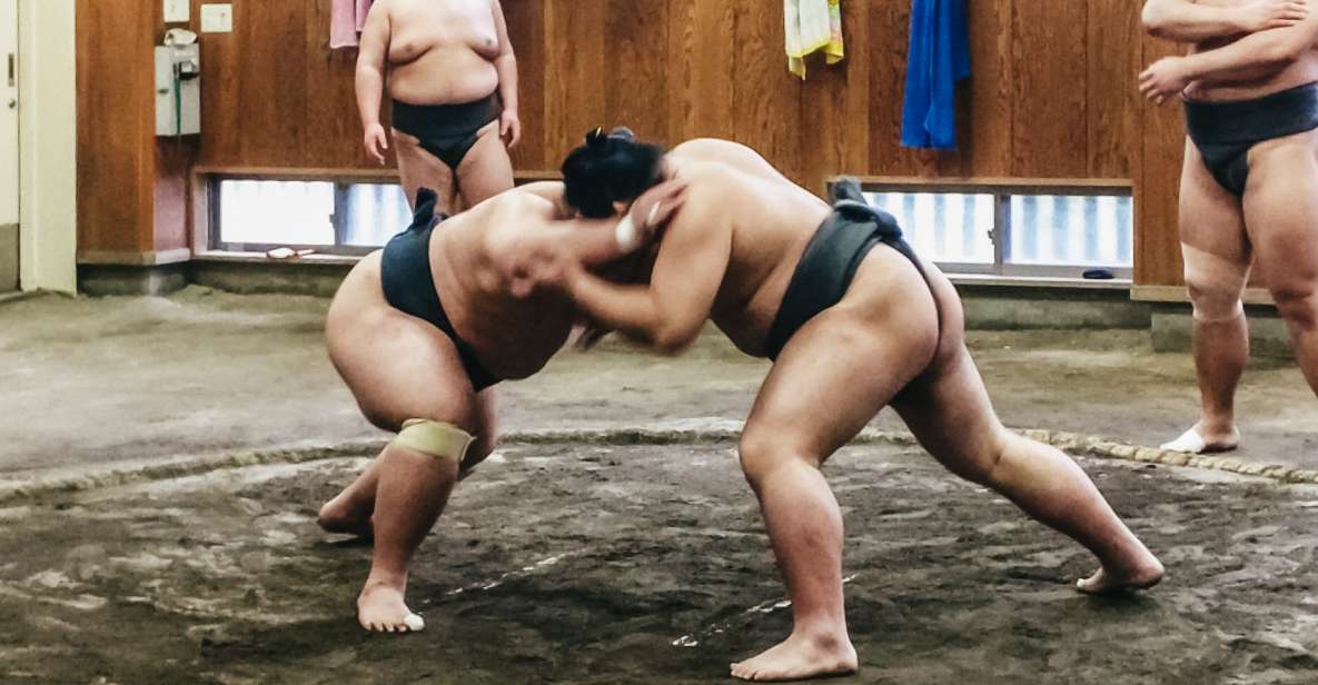 Tokyo: Sumo Morning Training Visit - Experience