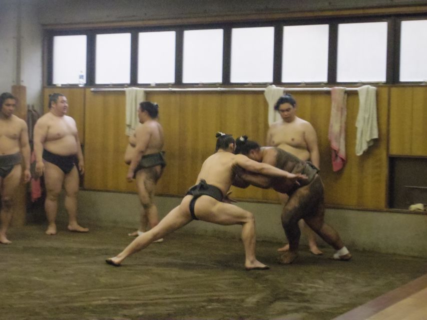 Tokyo: Sumo Morning Practice Viewing Tour - Review Summary