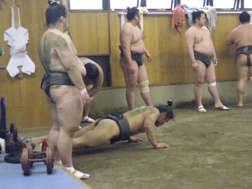 Tokyo: Sumo Morning Practice Viewing Tour - Final Words