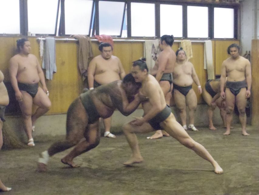 Tokyo: Sumo Morning Practice Viewing Tour - Customer Benefits
