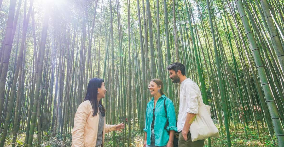 Kyoto: 5-Hour Arashiyama Walking Tour - Just The Basics