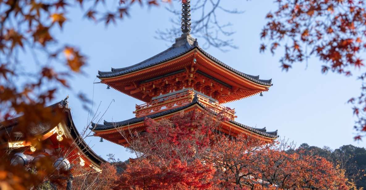 Kyoto: Personalized Guided Private Tour - Sightseeing Experience