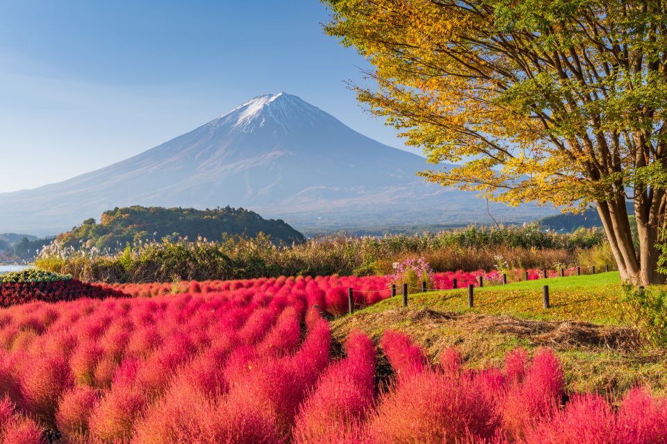 From Tokyo: Mount Fuji Highlights Private Day Tour - Customer Review and Testimonials