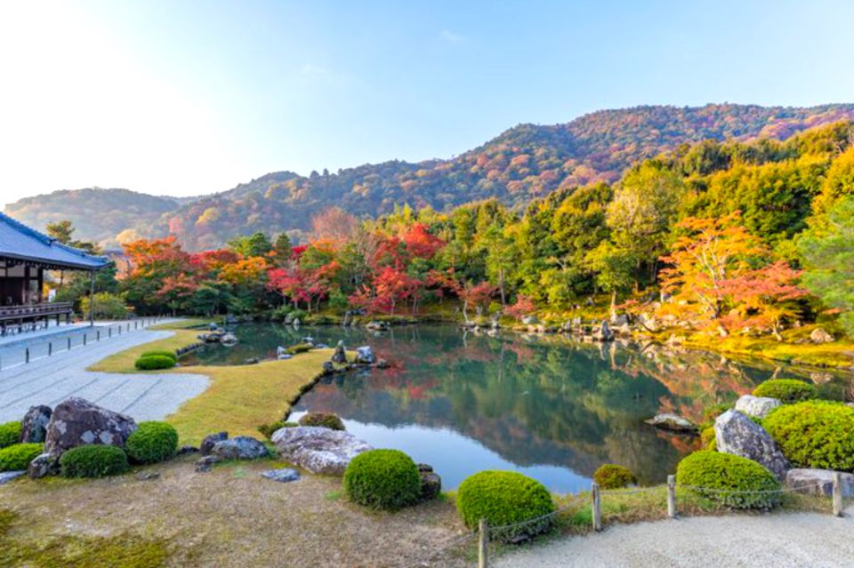 Kyoto: Arashiyama Bamboo, Temple, Matcha, Monkeys, & Secrets - Scenic Hilltop Views