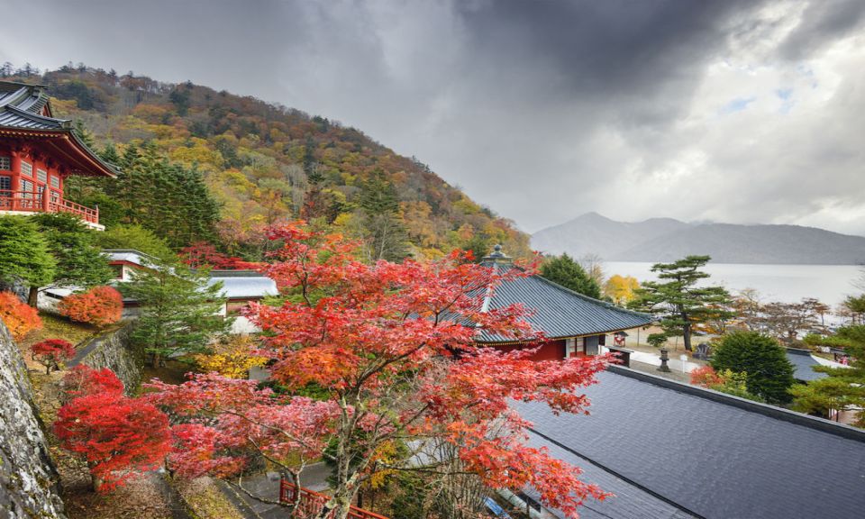 From Tokyo: 10-hour Private Custom Tour to Nikko - Just The Basics