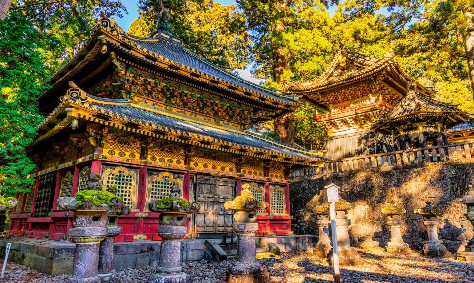 From Tokyo: 10-hour Private Custom Tour to Nikko - Tour Experience