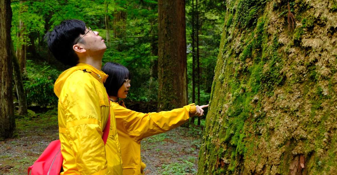 Fm Odawara: Forest Bathing and Onsen With Healing Power - Booking Information