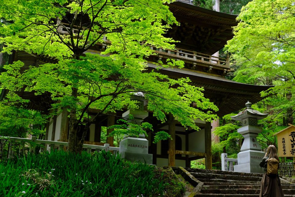 Fm Odawara: Forest Bathing and Onsen With Healing Power - Itinerary
